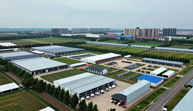 媒介投放中的常见误区与优化策略